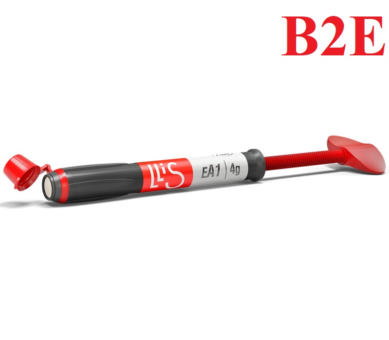 Llis пломбировочный материал цвет B2E (4г) FGM