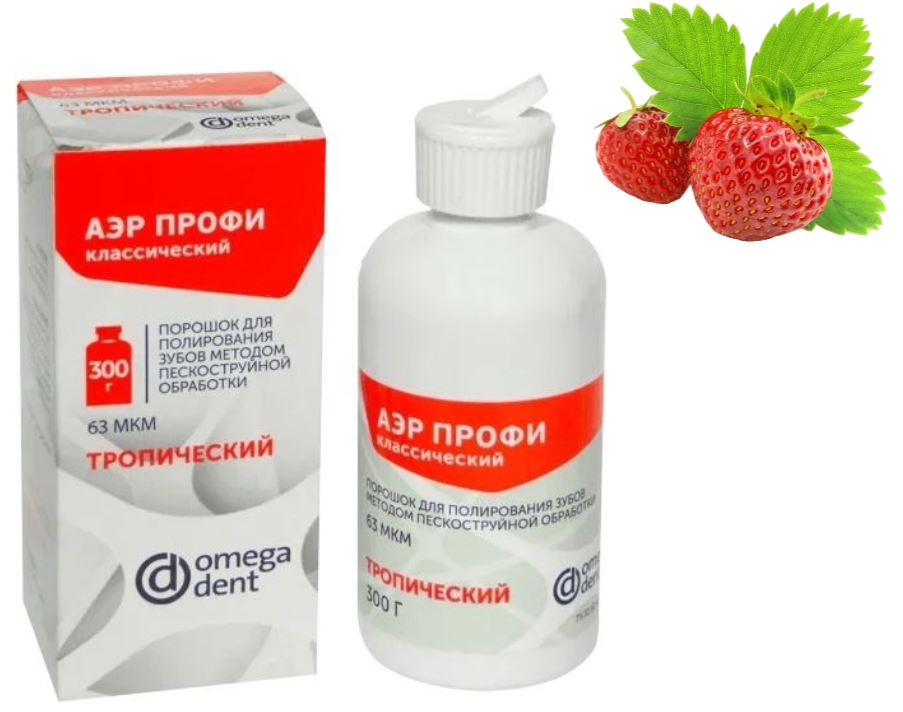 Порошок АЭР ПРОФИ Классик 63 мкм лесные ягоды (300г) Омега