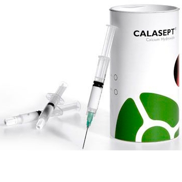 Calasept гидроксид кальция (4шпр*1,5г)